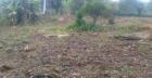 Terreno em Vicente Dutra